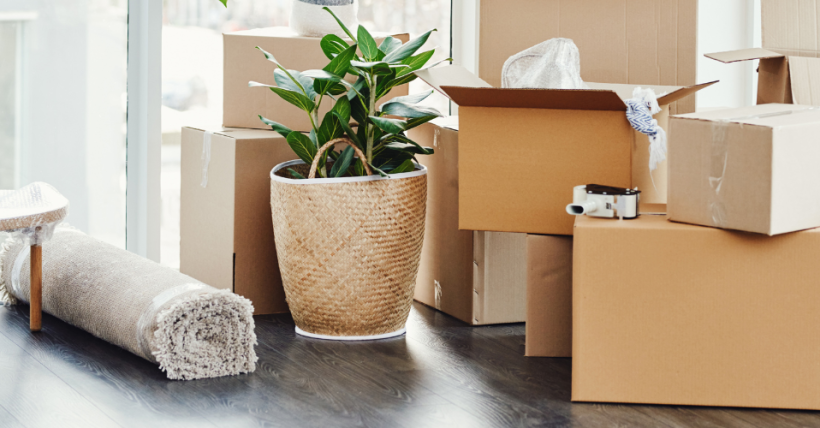 10 Decluttering Tips for the New Year